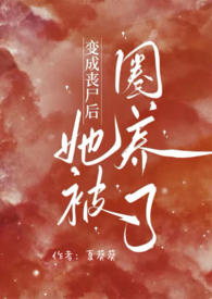 皮囊之罪（NP)