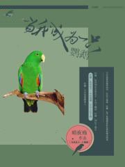 【西幻】罌粟之戀